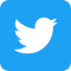 twitter logo icon